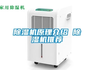行業新聞除濕機原理介紹 除濕機推薦