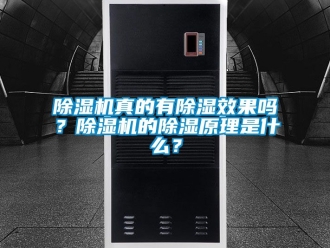 行業(yè)新聞除濕機真的有除濕效果嗎？除濕機的除濕原理是什么？