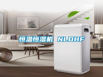 行業新聞恒溫恒濕機 NLDHF