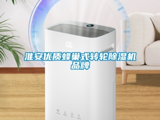 常見問題淮安優質蜂巢式轉輪除濕機品牌