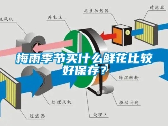 行業新聞梅雨季節買什么鮮花比較好保存？
