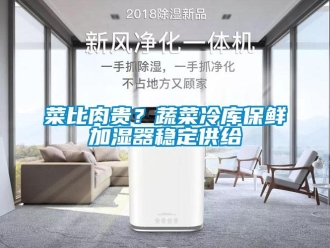 企業(yè)新聞菜比肉貴？蔬菜冷庫(kù)保鮮加濕器穩(wěn)定供給
