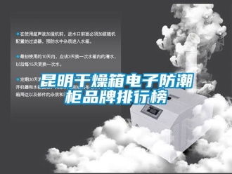 常見問題昆明干燥箱電子防潮柜品牌排行榜