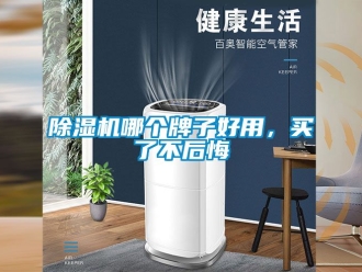 行業新聞除濕機哪個牌子好用，買了不后悔