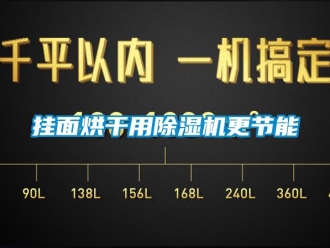 企業(yè)新聞掛面烘干用除濕機(jī)更節(jié)能