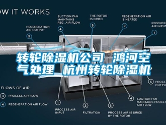 常見問題轉(zhuǎn)輪除濕機公司 鴻河空氣處理 杭州轉(zhuǎn)輪除濕機