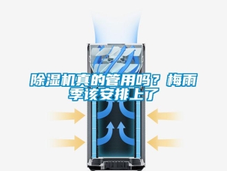 常見(jiàn)問(wèn)題除濕機(jī)真的管用嗎？梅雨季該安排上了
