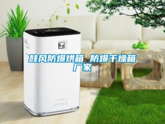 企業新聞鼓風防爆烘箱 防爆干燥箱廠家