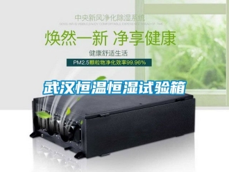 知識百科武漢恒溫恒濕試驗箱