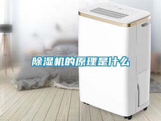 企業新聞除濕機的原理是什么