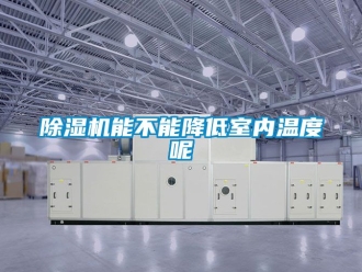 行業新聞除濕機能不能降低室內溫度呢
