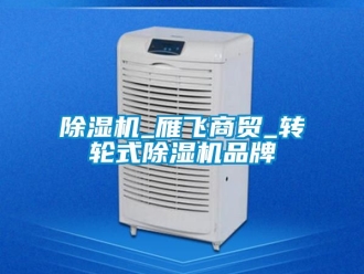 常見(jiàn)問(wèn)題除濕機(jī)_雁飛商貿(mào)_轉(zhuǎn)輪式除濕機(jī)品牌