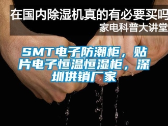常見問題SMT電子防潮柜，貼片電子恒溫恒濕柜，深圳供銷廠家
