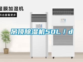 企業(yè)新聞吊頂除濕機(jī)50L／d