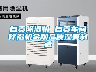 企業(yè)新聞自貢除濕機(jī) 自貢車間除濕機(jī)金剛品質(zhì)濕菱制造