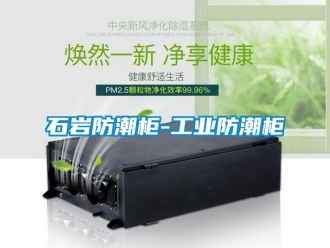 常見問題石巖防潮柜-工業防潮柜