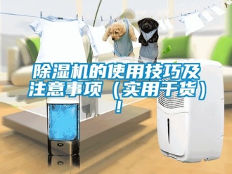 企業新聞除濕機的使用技巧及注意事項（實用干貨）！