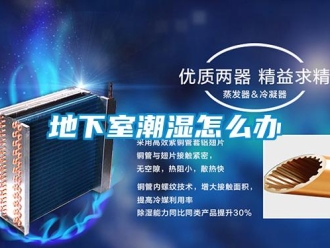 常見問題地下室潮濕怎么辦