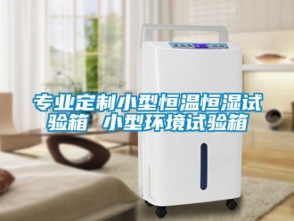 知識百科專業定制小型恒溫恒濕試驗箱 小型環境試驗箱