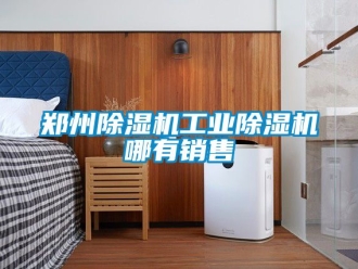 常見問題鄭州除濕機工業除濕機哪有銷售