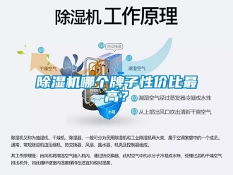 行業(yè)新聞除濕機哪個牌子性價比最高？