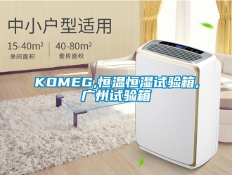 常見(jiàn)問(wèn)題KOMEG,恒溫恒濕試驗(yàn)箱,廣州試驗(yàn)箱