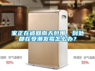 常見(jiàn)問(wèn)題家正在被回南天包圍，到處都在受潮發(fā)霉怎么辦？