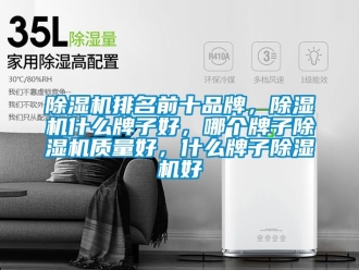 企業新聞除濕機排名前十品牌，除濕機什么牌子好，哪個牌子除濕機質量好，什么牌子除濕機好