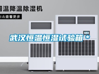 知識百科武漢恒溫恒濕試驗箱＊