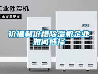 常見(jiàn)問(wèn)題價(jià)值和價(jià)格除濕機(jī)企業(yè)如何選擇