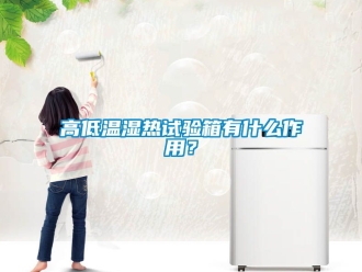 常見問題高低溫濕熱試驗(yàn)箱有什么作用？