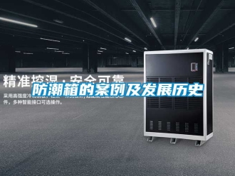 常見問題防潮箱的案例及發展歷史