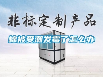 常見問題棉被受潮發(fā)霉了怎么辦
