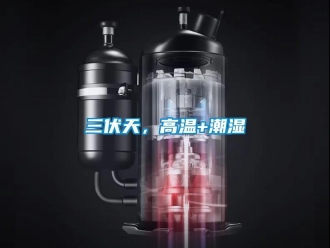 行業(yè)新聞三伏天，高溫+潮濕