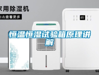知識百科恒溫恒濕試驗箱原理講解