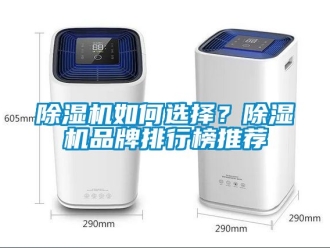 企業新聞除濕機如何選擇？除濕機品牌排行榜推薦