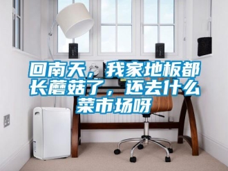 行業新聞回南天，我家地板都長蘑菇了，還去什么菜市場呀