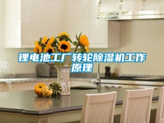 常見問題鋰電池工廠轉輪除濕機工作原理
