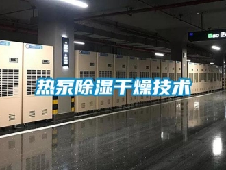行業(yè)新聞熱泵除濕干燥技術(shù)
