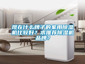 企業新聞現在什么牌子的家用除濕機比較好？求推薦除濕機品牌？