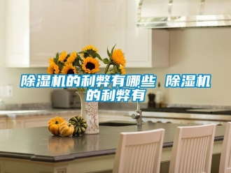 企業新聞除濕機的利弊有哪些 除濕機的利弊有