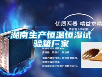知識百科湖南生產恒溫恒濕試驗箱廠家