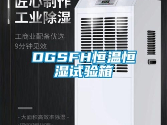 常見問題DGSFH恒溫恒濕試驗箱