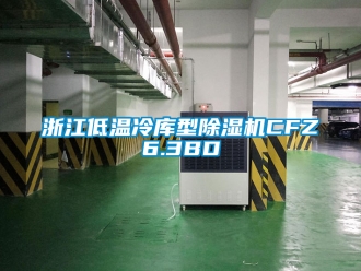 行業(yè)新聞?wù)憬蜏乩鋷?kù)型除濕機(jī)CFZ6.3BD