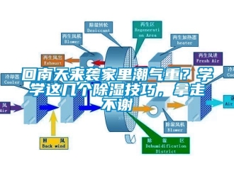 行業(yè)新聞回南天來襲家里潮氣重？學(xué)學(xué)這幾個除濕技巧，拿走不謝