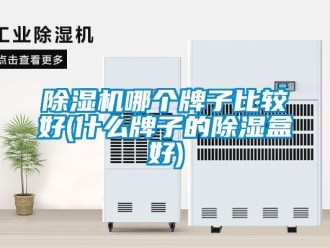 行業新聞除濕機哪個牌子比較好(什么牌子的除濕盒好)