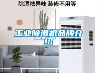 企業新聞工業除濕機品牌介紹