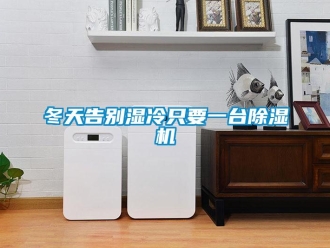 企業新聞冬天告別濕冷只要一臺除濕機