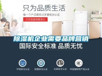 常見問題除濕機(jī)企業(yè)需要品牌營銷
