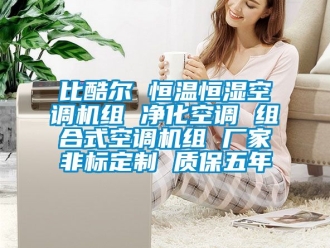 常見問題比酷爾 恒溫恒濕空調(diào)機(jī)組 凈化空調(diào) 組合式空調(diào)機(jī)組 廠家非標(biāo)定制 質(zhì)保五年